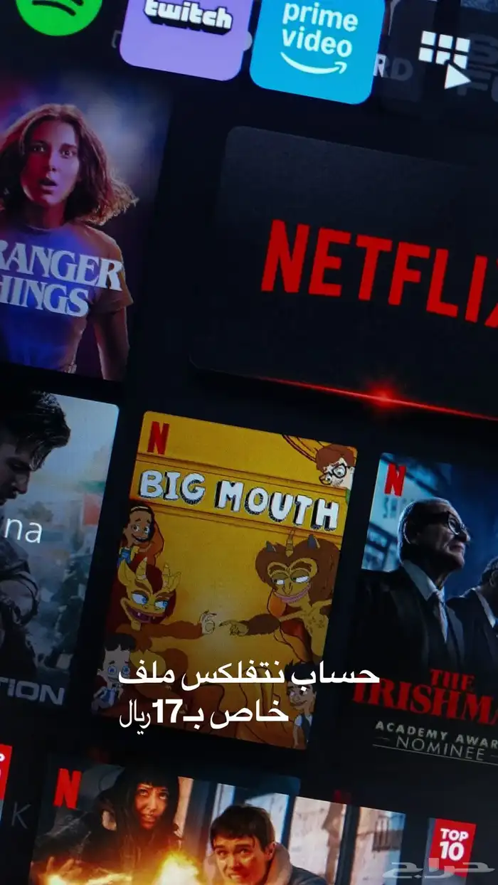 حسابات تفلكس للبيع 1