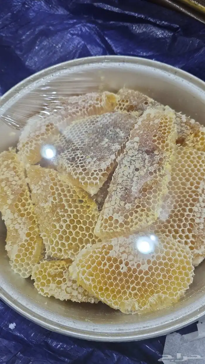 عسل سدر بلاد العوامر 1