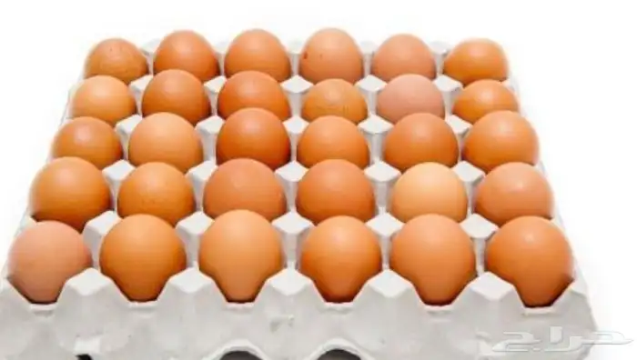 طبق بيض براهما 0