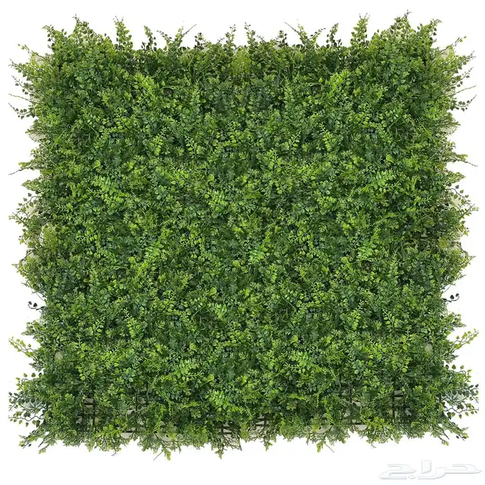 عشب الصناعي 3