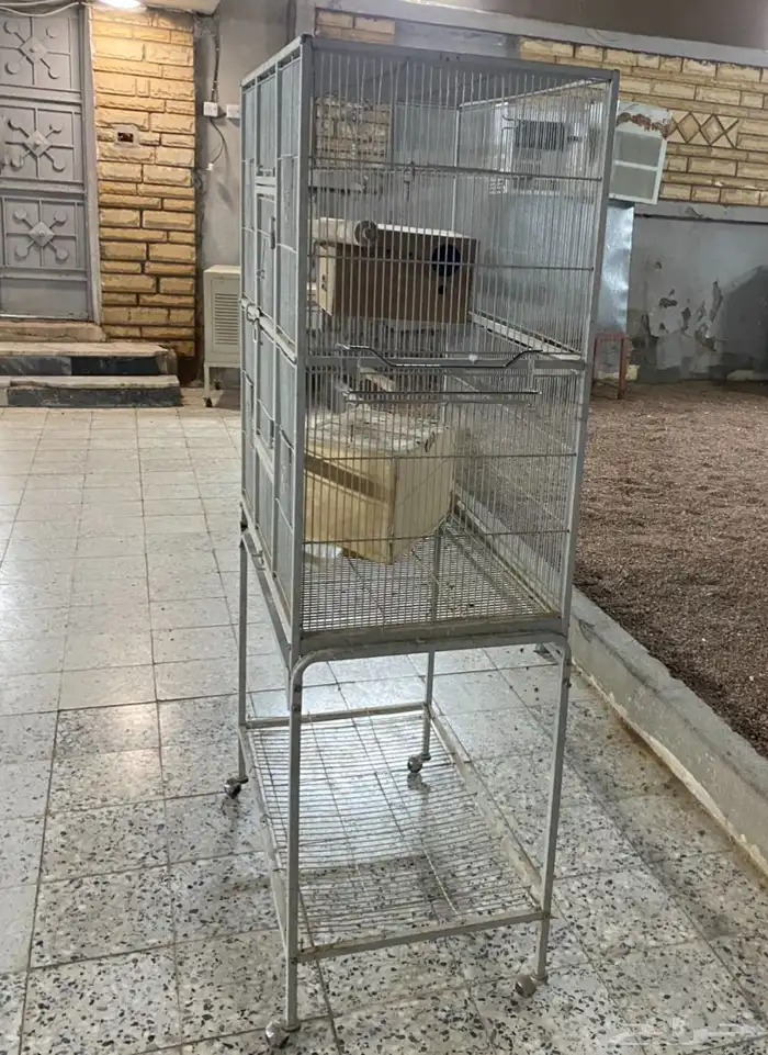 شبك بغبغاء 3