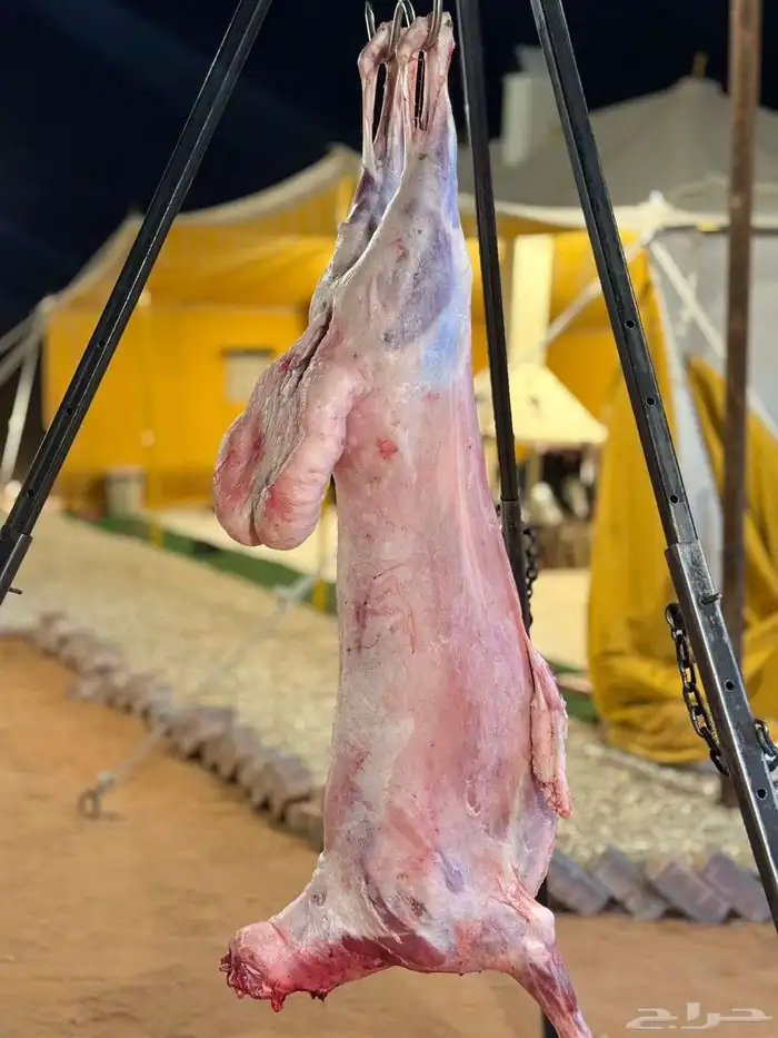 معلم مشويات شوي خارجي مشاوي 0