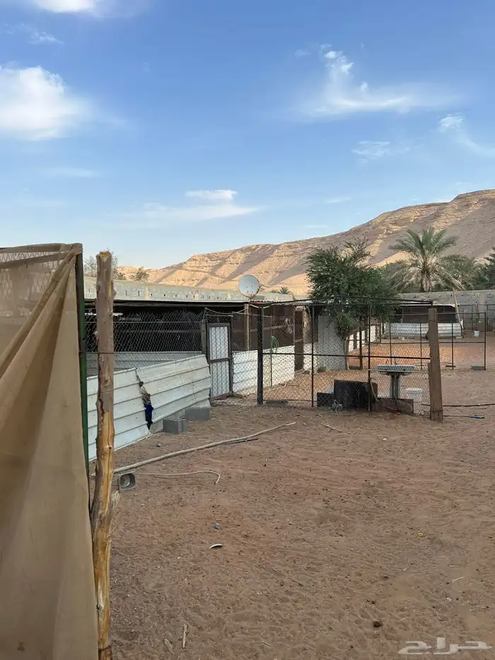 مضلات للبيع 1