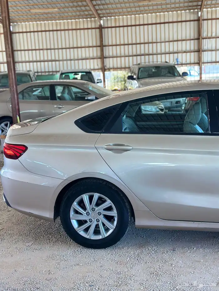 للبيع جلي بنراي موديل 2020 6