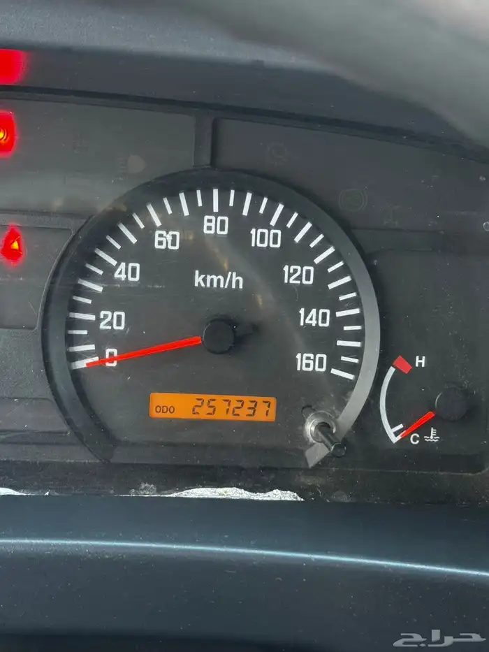 ايسوزو دينه 2014 11