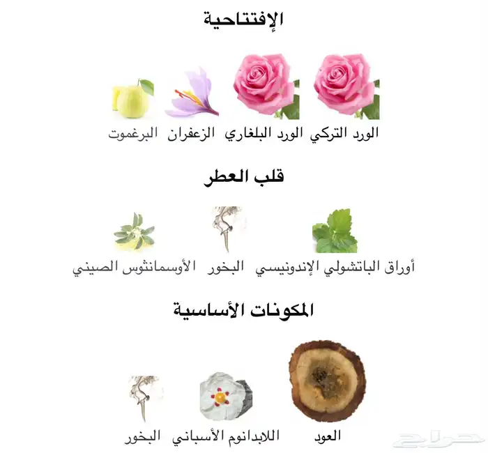 4 عطور نيش( برشلونه ) 1