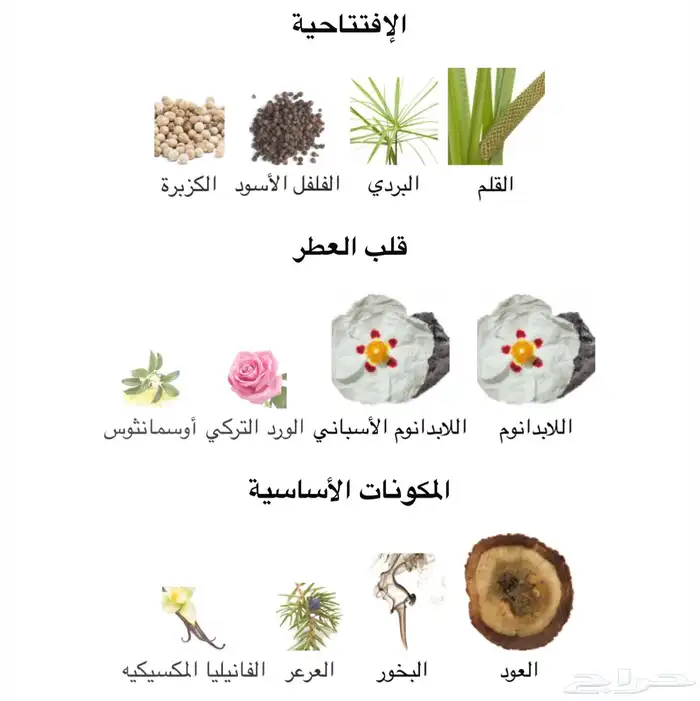 4 عطور نيش( برشلونه ) 3