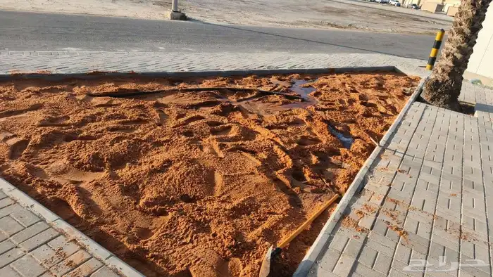 مشتل زراع طبيعي وتيل طبيعي وأشجار 2