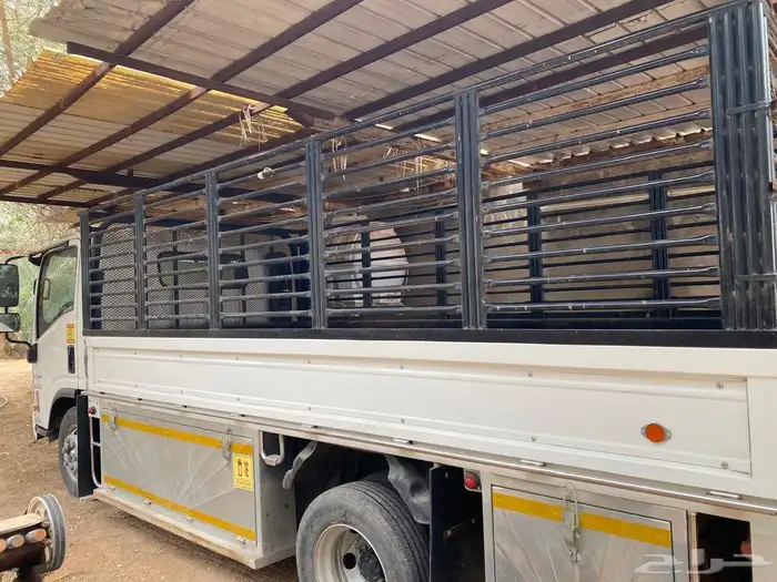 ايسوزو دنه جامبو دينا دينه 2023 3