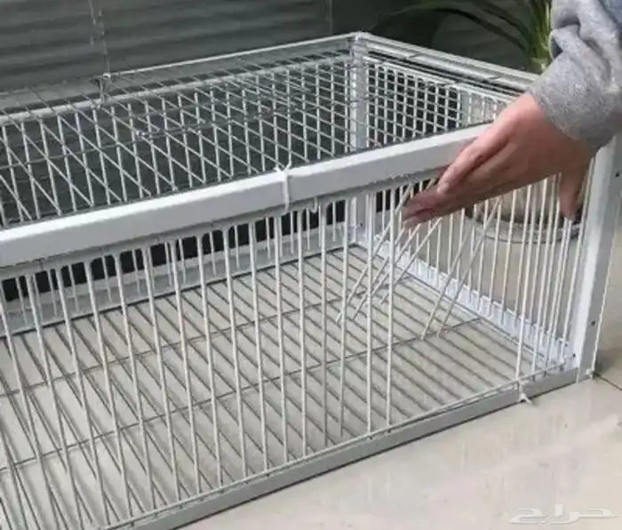 مصيدة حمام باقي حبتين جديدة للبيع 2