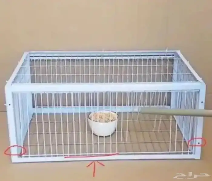 مصيدة حمام باقي حبتين جديدة للبيع 1