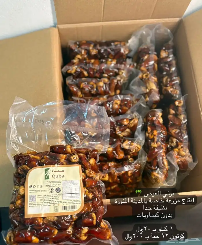 عجوة المدينة 1