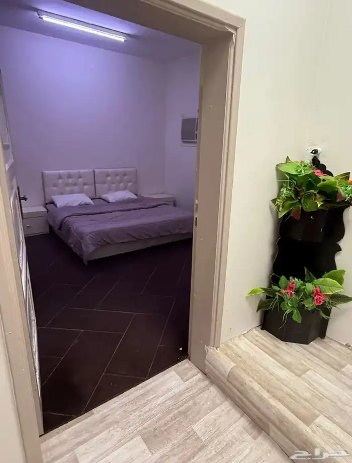 لتقبيل بالشهر القريات 1