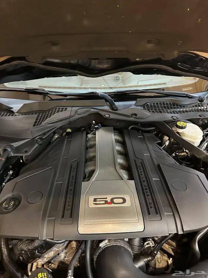 فود موستينج V8 سبورت 13