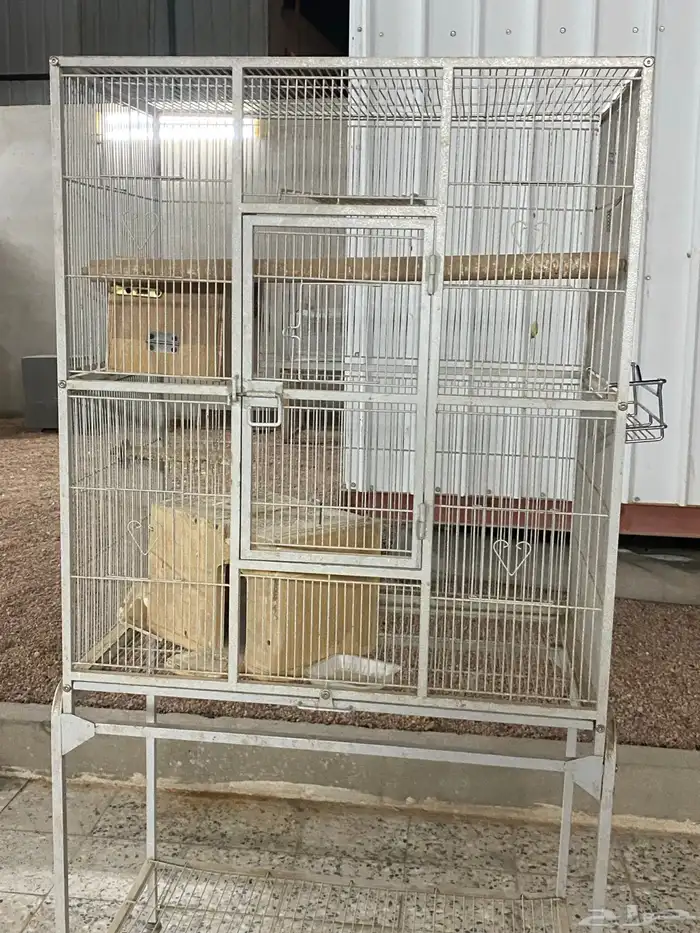 شبك بغبغاء 2