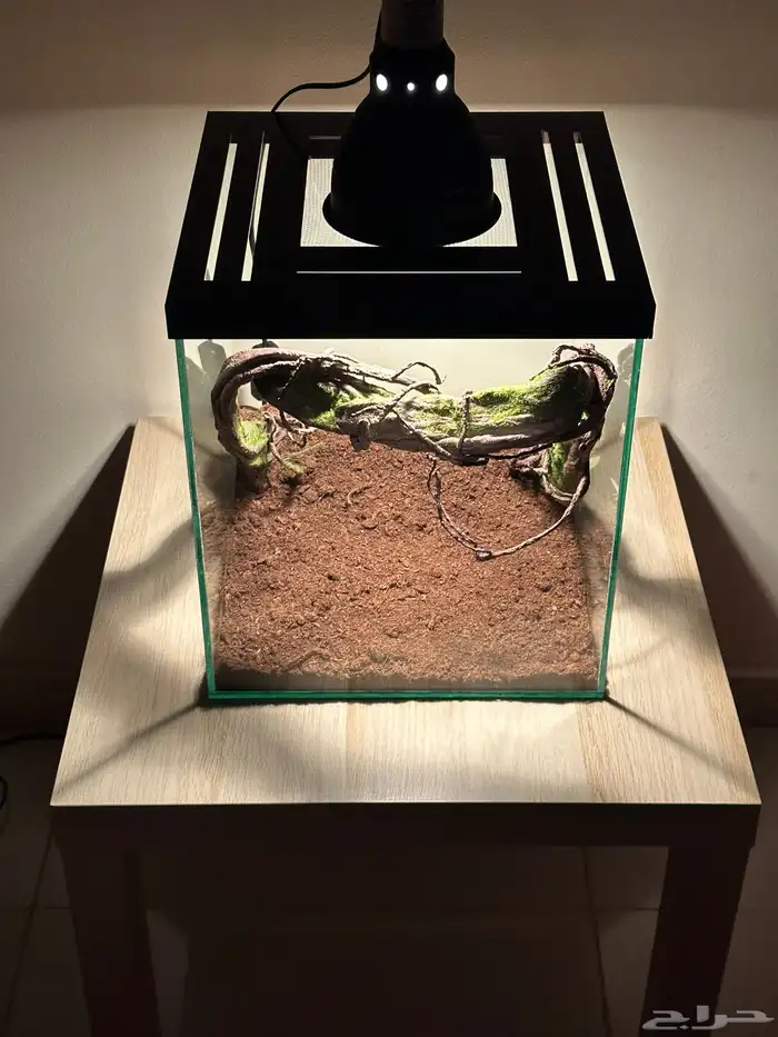 أحواض زواحف 2