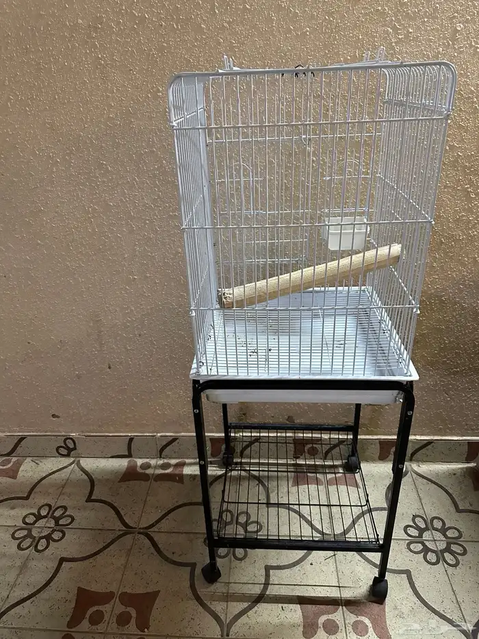 ساسكو قفص نظيف 0