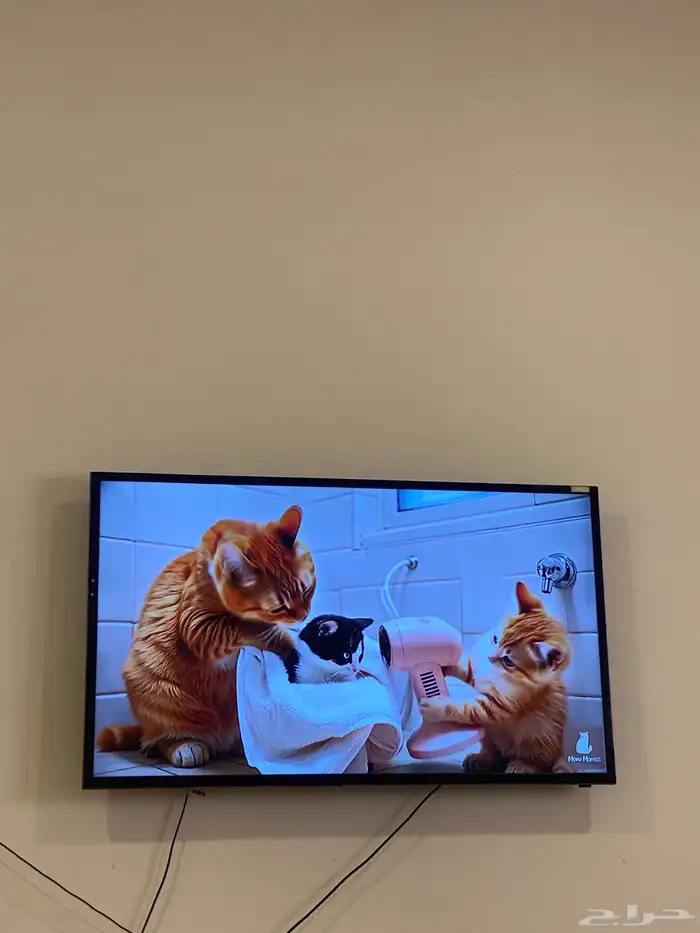 شاشه للبيع 0