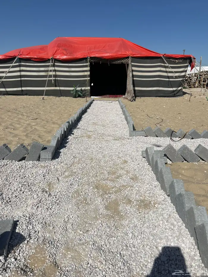 اغراض مخيم - فيه كراسي حديد مع كفراتها - وفيه سعف - 3