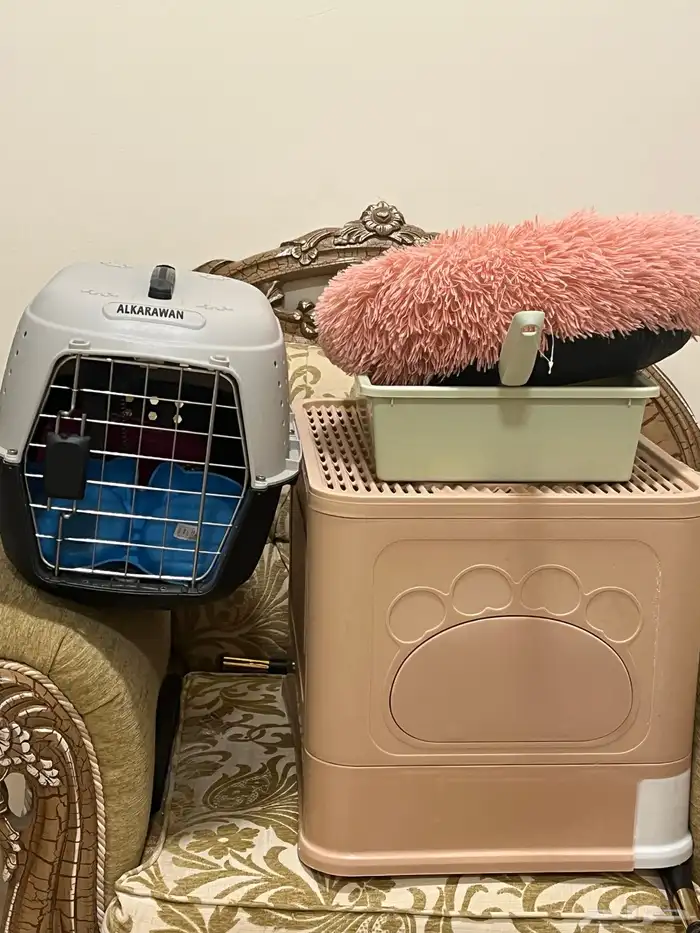 مستلزمات قطط للبيع بحالة ممتازة 0