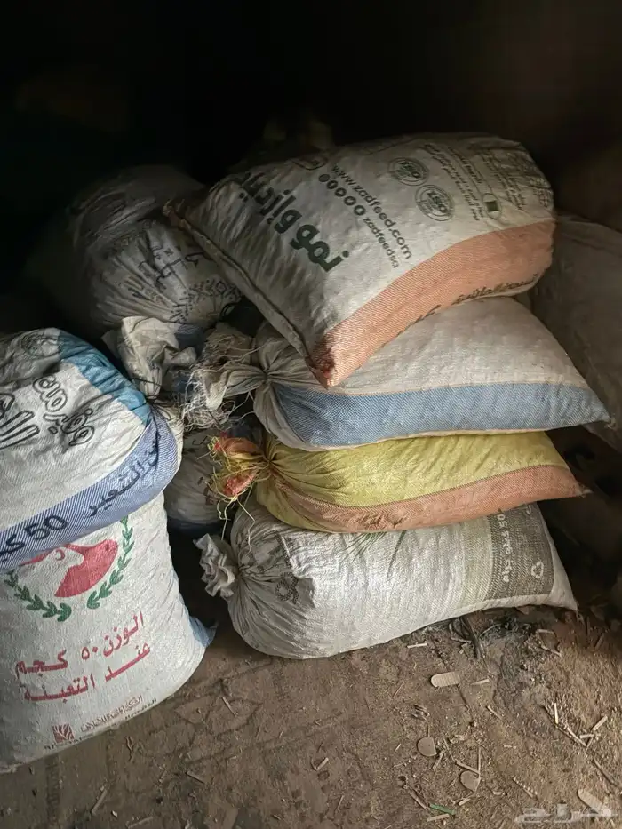 تمر علف ناشف للبيع 3