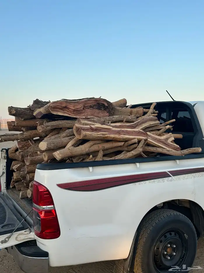 ح ط ب سمر كفو شليخ للبيع 2