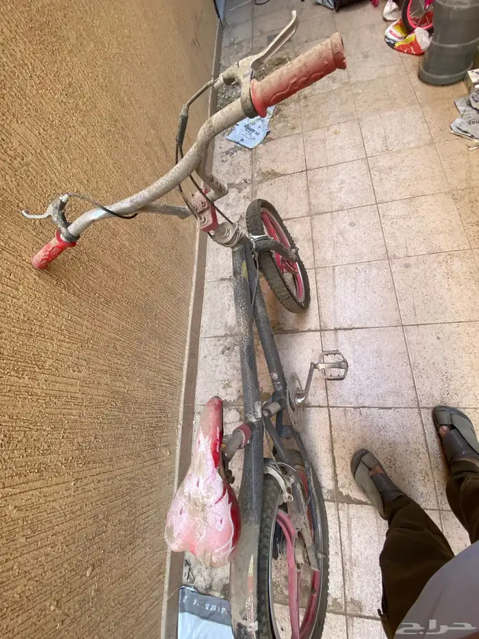 سياكل كوبرا 1