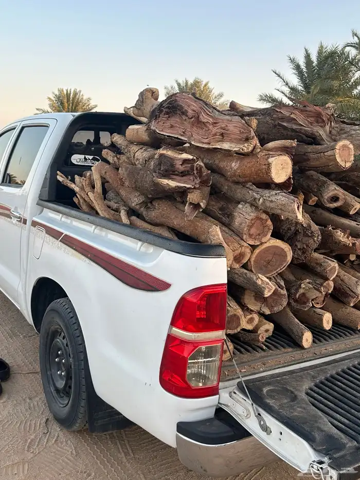 ح ط ب سمر كفو شليخ للبيع 1