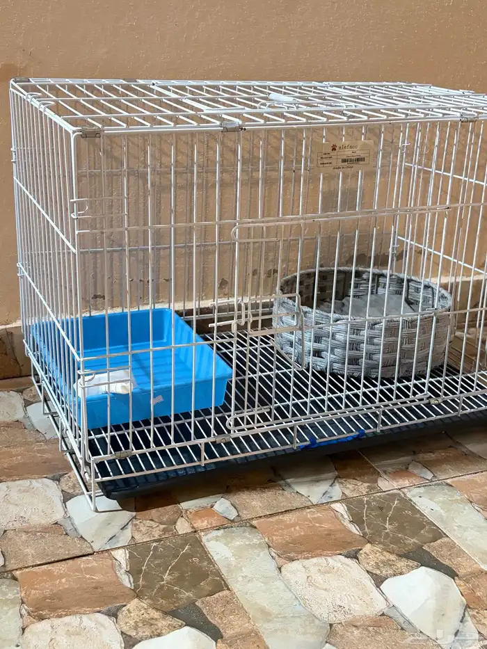 لتر بوكس ومستلزمات قطط 4