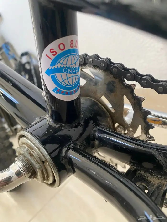 سيكل بايونير 4