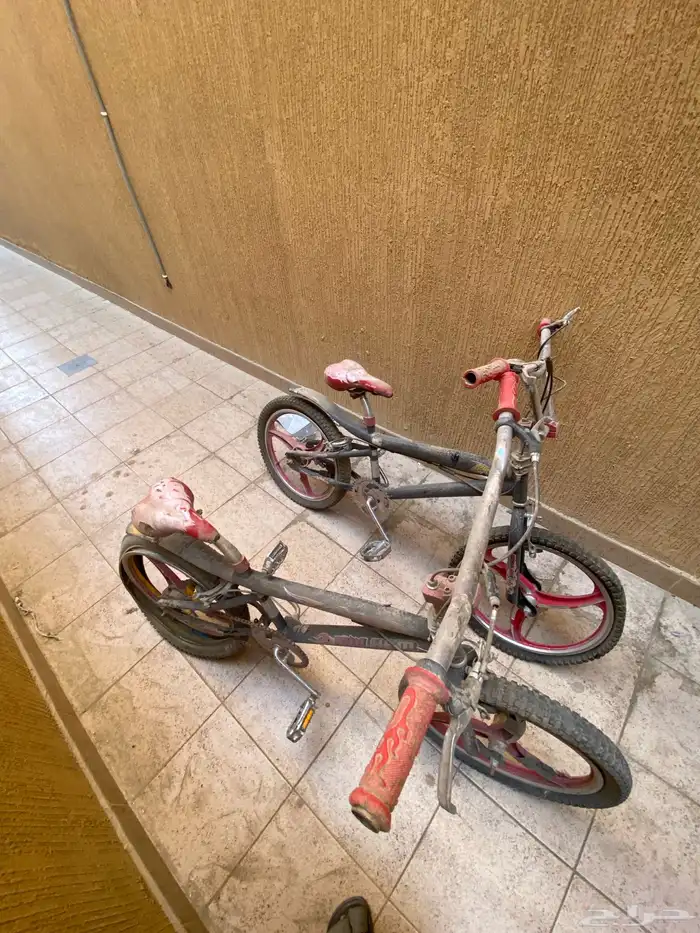 سياكل كوبرا 9