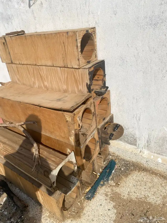 خلايا نحل فاضية 6