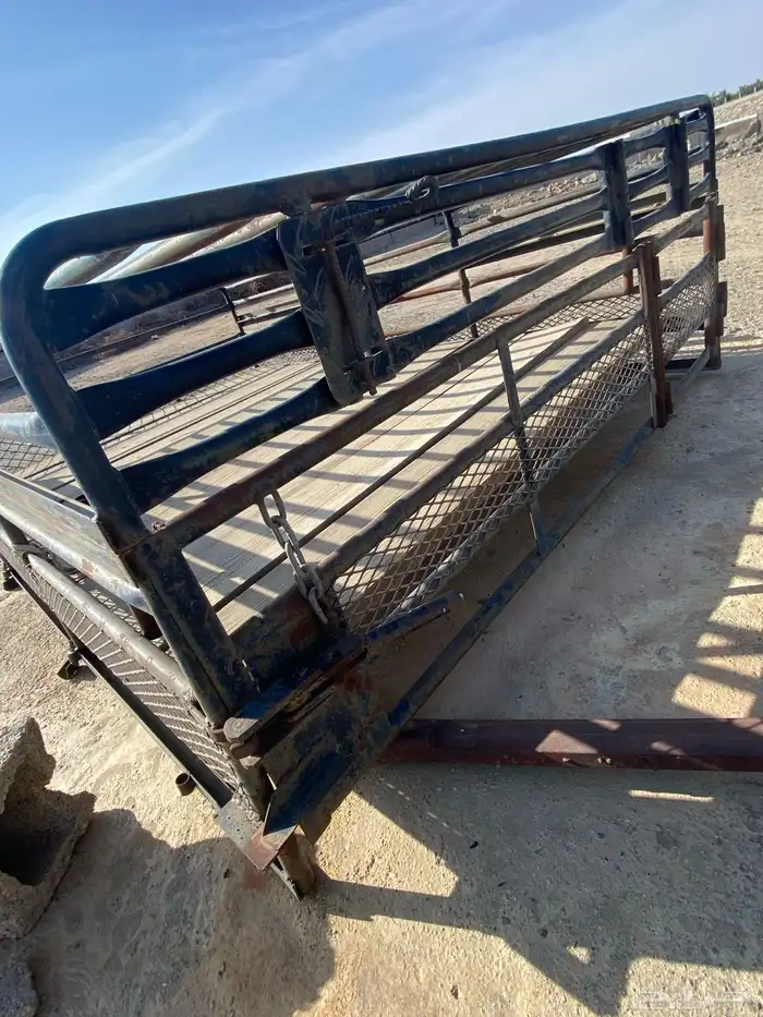 شد شبك هلكس 5 شنكار 1