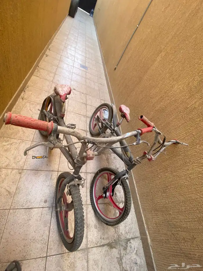 سياكل كوبرا 8