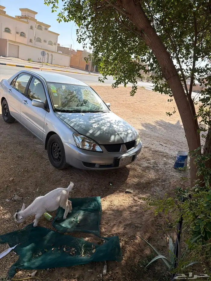 مستبيشو للبيع 1