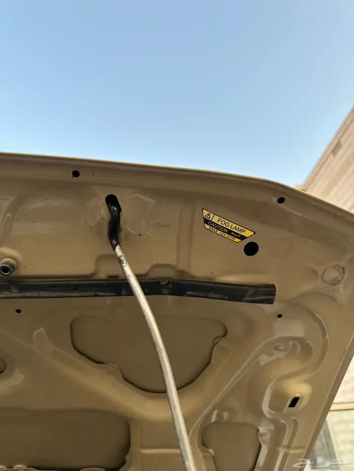 شاص 2014 سعودي وكاله 11 ريشه تم البيع تم البيع تم البيع 28