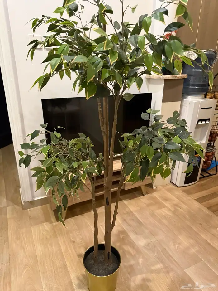 اثاث للبيع 2