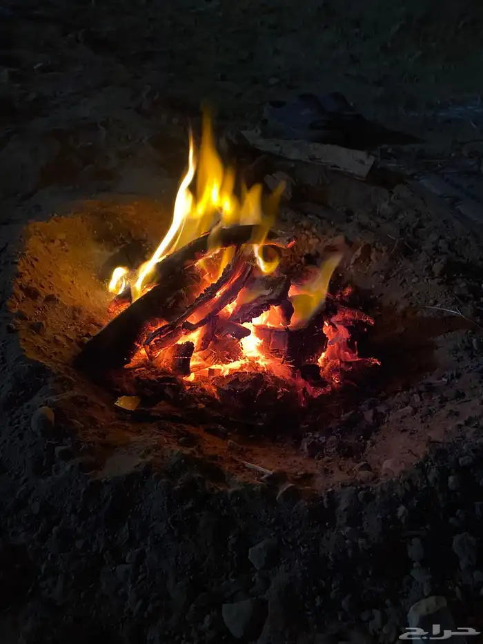 ح ط ب م ح ل ي 10 كيلو 2