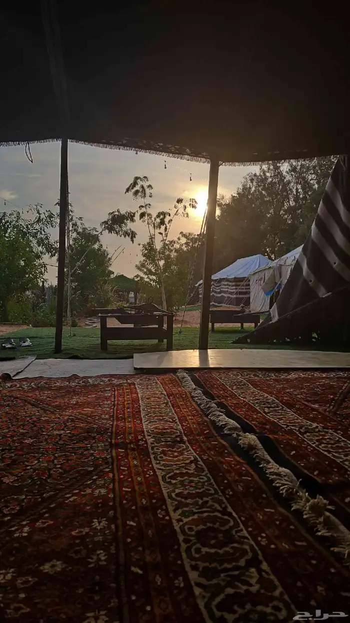 مخيم المزاحمية تبراك بسعر رمزي 0