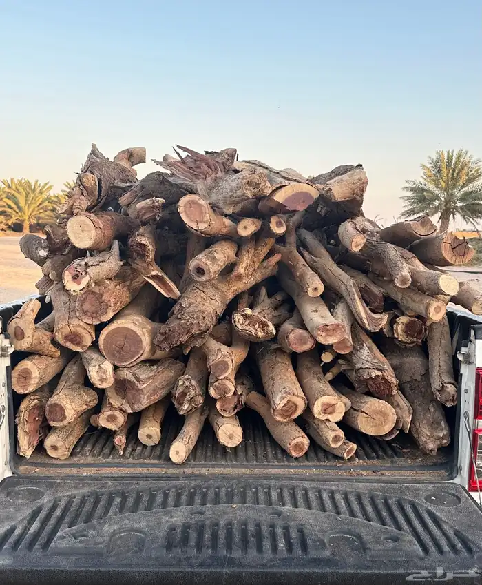 ح ط ب سمر كفو شليخ للبيع 0