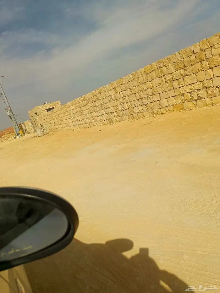 لدينا موسسه توريد وغرس نخيل عربي وشنطني وشغال مدرجات ومشيات 6