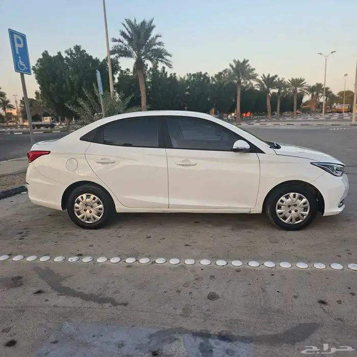 شانجان 2022 16