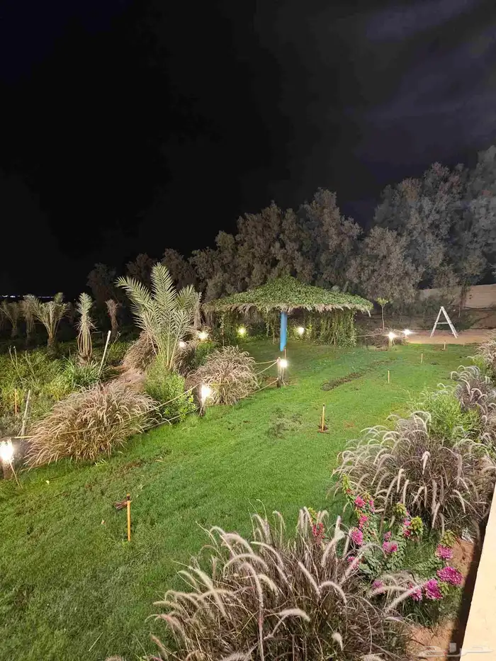 مخيم المزاحمية تبراك بسعر رمزي 33