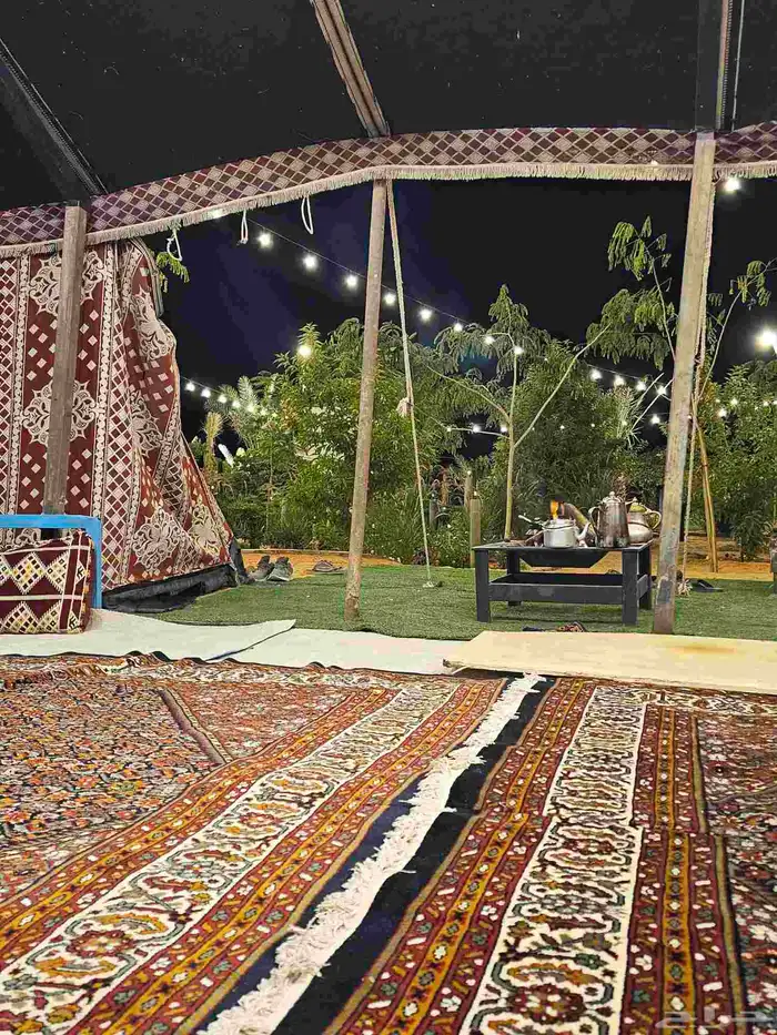 مخيم المزاحمية تبراك بسعر رمزي 13