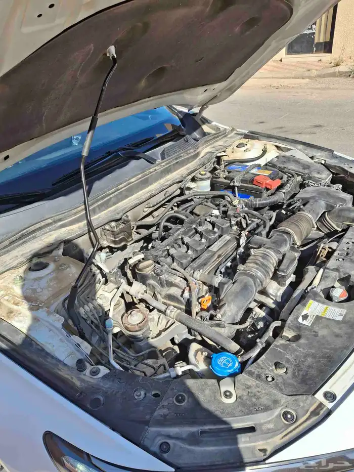 هونداء كرد مديل 2019 سعوديه 10