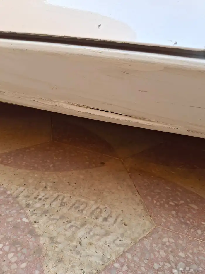 هونداء كرد مديل 2019 سعوديه 16