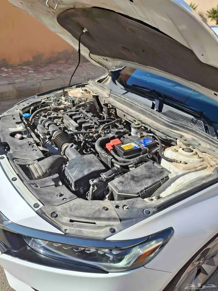 هونداء كرد مديل 2019 سعوديه 11