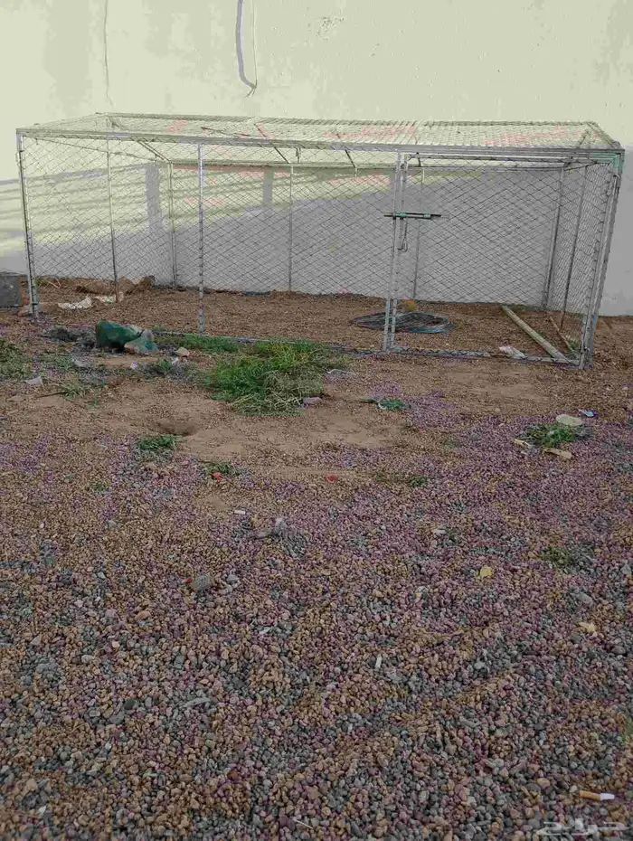 شبك ثلاثه في اثنين ارتفاع واحد شبك دجاج تم للبيع 1