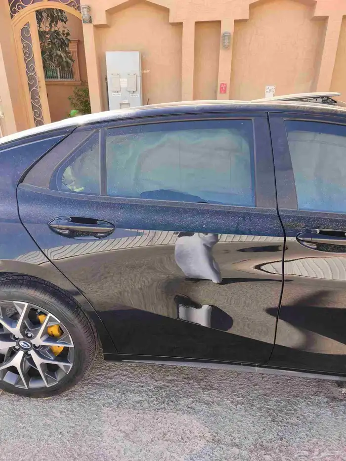 امباو تشليح 1