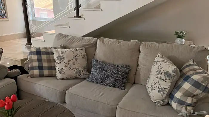 كنب امريكي 0